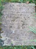 image of grave number 709851
